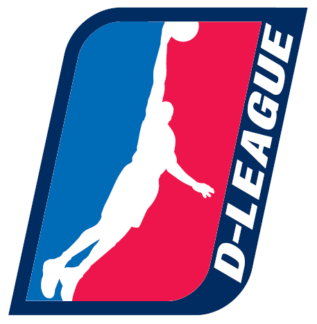 NBA D-League 2006-Pres Alternate Logo iron on transfers for T-shirts